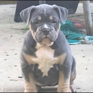 Meet your Posher, Larry